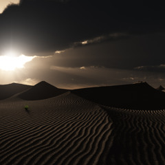 El Desierto - Lau Madness & Flamu Rock´s (PorBici-OBeats)