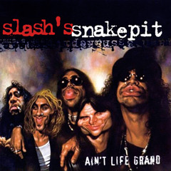 Slash's Snakepit - Serial Killer (Full Cover)