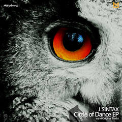 J.Sintax - Neglected (Original Mix)