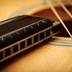 Bruno Mars - Just The Way You Are (Aiden N Evelyn Harmonica Cover)