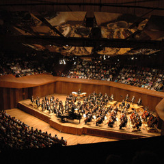 Guitar and Orchestra Concerto