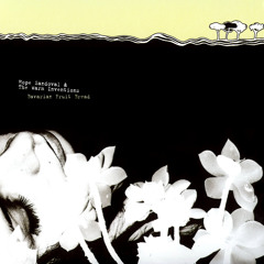 Hope Sandoval And The Warm Inventions — Charlotte