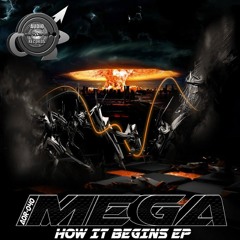 AOR040 - MEGA - SHOALIN FIST - OUT 6TH MARCH