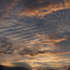 Goodbye (with Soap & Skin) (Trap Remix)