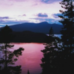 Tom Odell - Long Way Down [cover by Silvia]