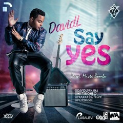 Say Yes - DavidL