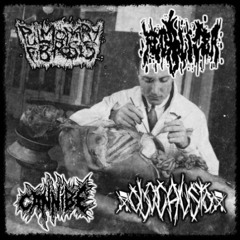 Fecalizer - Biochemical Zombie Outbreak