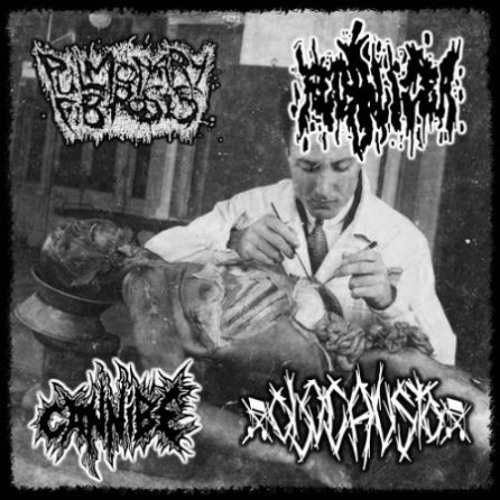 Fecalizer - Biochemical Zombie Outbreak