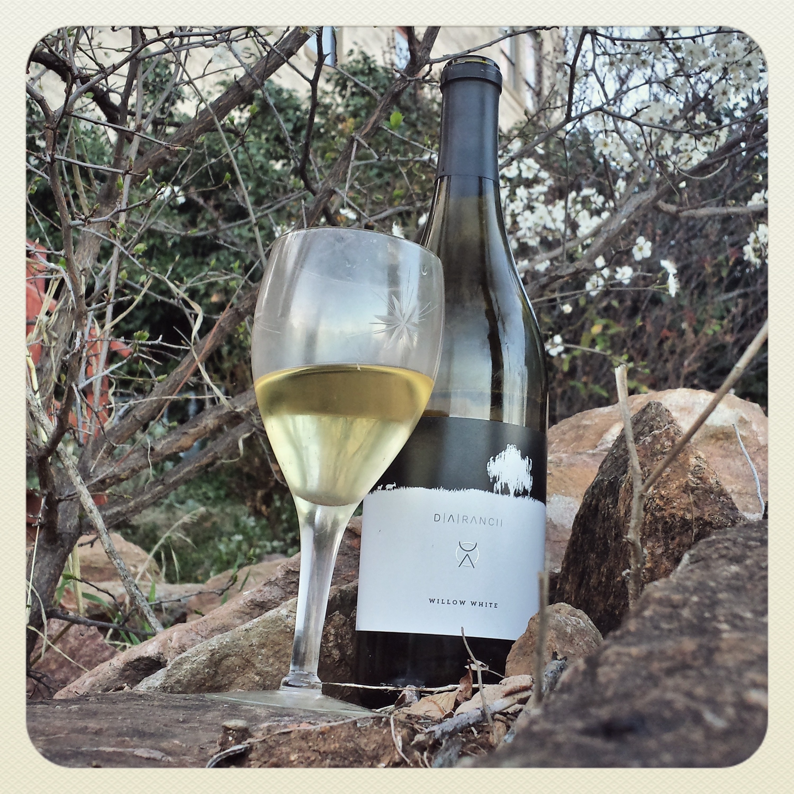 The Arizona Wine Monk Podcast