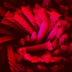 Red Vines (Unmastered)