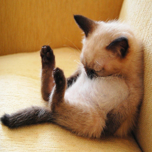 Sleep The Clock Around (Belle and Sebastian Cover)