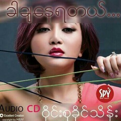 ငါပဲသိတဲ့အခ်စ္ ဝိုင္းစုခိုင္သိန္း