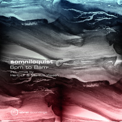 Somniloquist - Abendrot (Markus Wesen Rmx)