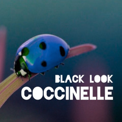 Black Look - Coccinelle(Original Mix)