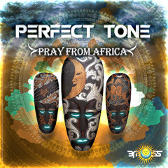 Perfect Tone - Coming From