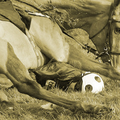 Jockey Full of Bourbon