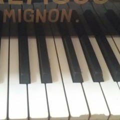 Chins Favorite at Vårby