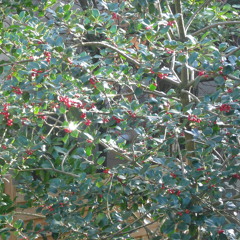 Instru N 8(joe Hisaishi Sixth Station Remix)