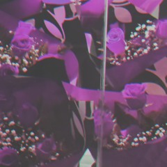 Purple roses