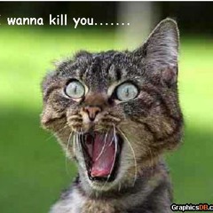 FreeBars Freestyle SoundKheck