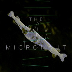 The Micronaut - Schmerle (Florian Kasan Remix)