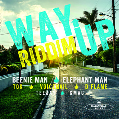 Elephant Man - Party Up