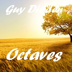 Guy Didden - Octaves (Original Mix)