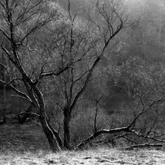 Sya - Wuthering Hights (Cover)