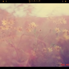 Sunshine Love