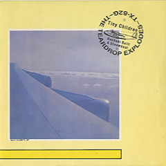 The Teardrop Explodes - Tiny Children (parjo01 re-edit)