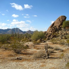 Surviving The Test 2 Kings 17