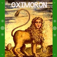 Sea Ryan Polka 21022015