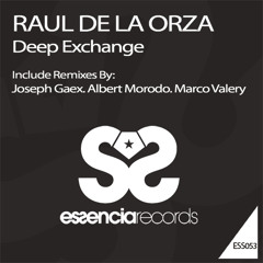 Raul de la Orza - Deep Exchange (Joseph Gaex Remix)