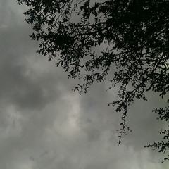 1 Hour of Rain and Thunder Storm with Birds near the end, in Lakeland Florida