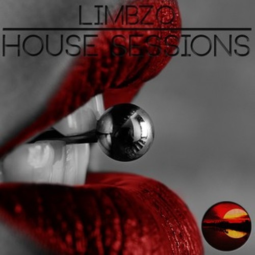 limbzo house session 13