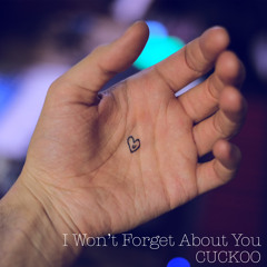 I Won't Forget About You