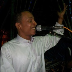 محمد فوزى النوبى -وقفة حفلة عمر نصر صوت 2015tsgylata♪inahdah
