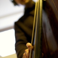 Song For Zeuthen played by Richard Andersson Intuition