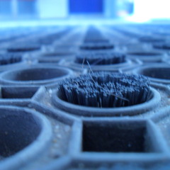 The Morning Autumn Sun