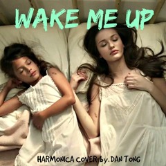 Aloe Blacc ft. Avicii - Wake Me Up Harmonica Cover