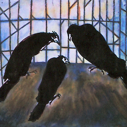 Requiem pour un oiseaux