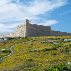 اغنية  الجيلاني - الهادي دنيا