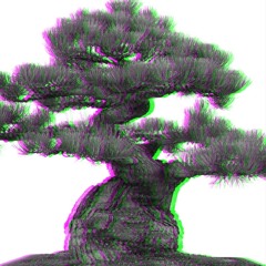 bonsai