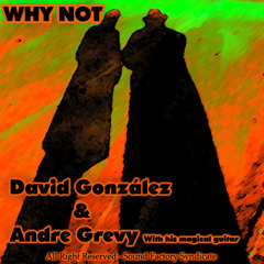 WHY NOT (David González & Andre Grevy) - NOT FOR SALE -
