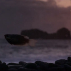 iamamiwhoami; fountain (music box)