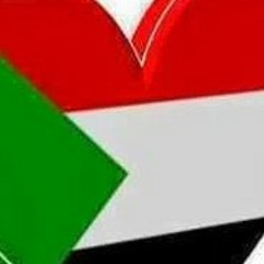 محمد الامين زاد الشجون