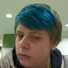 D.J Turtle techno dubstep (cricket)