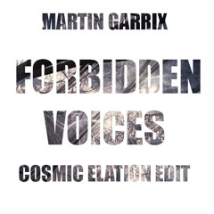 Martin Garrix - Forbidden Voices (Cosmic Elation Edit)[Suported by Yin Yang Bangers & Nomero]