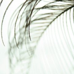 The Meaning Of A Lifetime