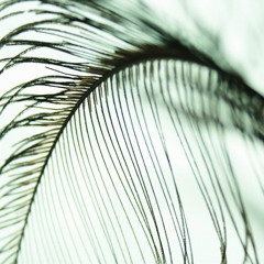 The Day That We First Met